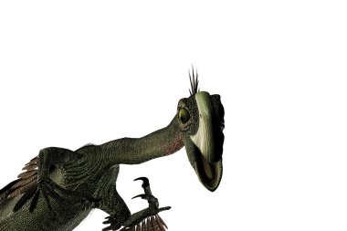 Beyaz arka plan üzerinde izole bir Gigantoraptor 3D çizimi