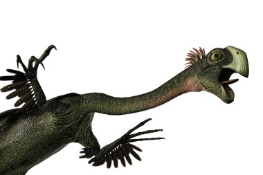 Beyaz arka plan üzerinde izole bir Gigantoraptor 3D çizimi