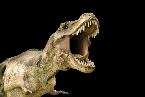 Ilustração 3d de um Tyrannosaurus rex isolado em fundo preto — Fotografia de Stock