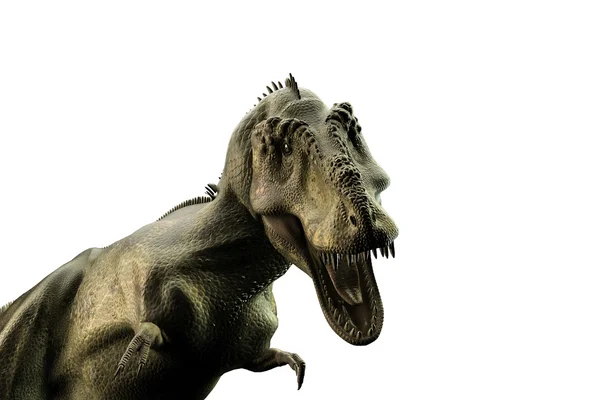 3D illustratie van een Tyrannosaurus rex geïsoleerd op witte achtergrond — Stockfoto