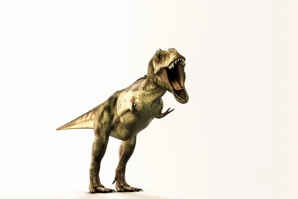 3D illustratie van een Tyrannosaurus rex geïsoleerd op witte achtergrond — Stockfoto