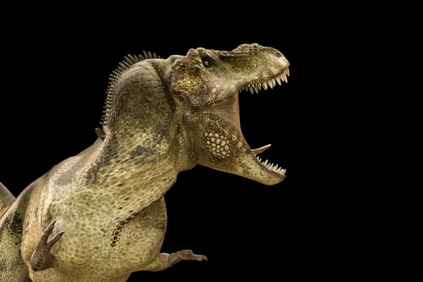 Ilustração 3d de um Tyrannosaurus rex isolado em fundo preto — Fotografia de Stock