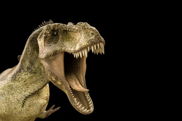 Illustration 3D d'un Tyrannosaurus rex isolé sur fond noir — Photo