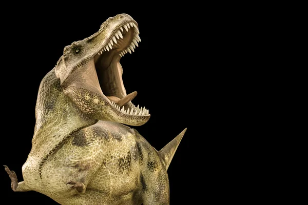 3D illustratie van een Tyrannosaurus rex geïsoleerd op zwarte achtergrond — Stockfoto