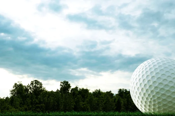 3D illustratie van een golfbal op een cursus — Stockfoto