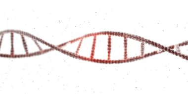 Beyaz arka plan üzerinde izole dna zincirinin 3D çizim