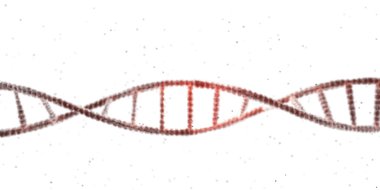 Beyaz arka plan üzerinde izole dna zincirinin 3D çizim