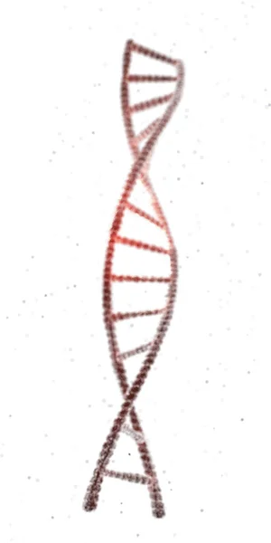 흰색 배경에 고립 된 dna 사슬의 3d 그림 — 스톡 사진