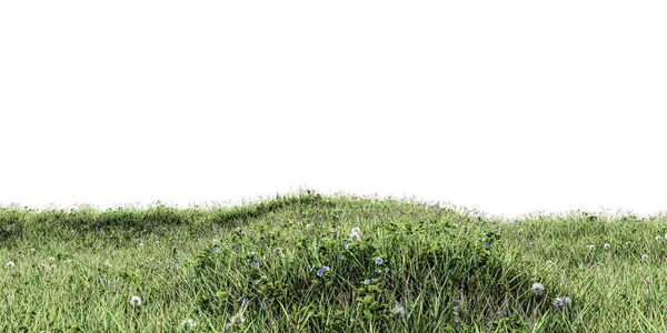 白い背景に隔離された牧草地3Dイラスト — ストック写真