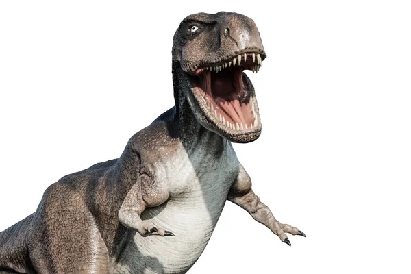 Tyrannosaurus Rex Elszigetelt Fehér Háttér Illusztráció — Stock Fotó