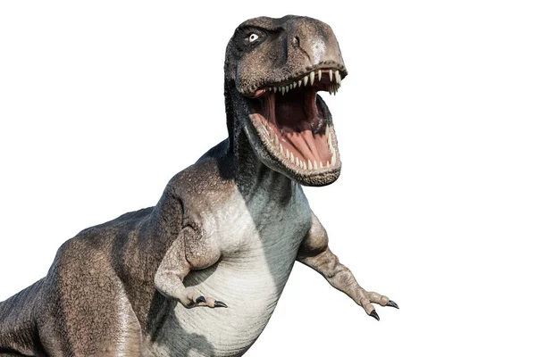 Tyrannosaurus Rex Geïsoleerd Witte Achtergrond Illustratie — Stockfoto