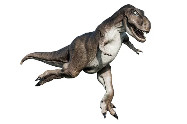 Tyrannosaurus Rex Geïsoleerd Witte Achtergrond Illustratie — Stockfoto