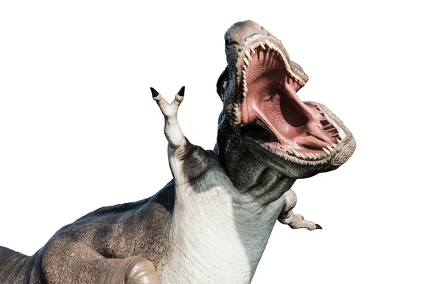 Tyrannosaurus Rex Geïsoleerd Witte Achtergrond Illustratie — Stockfoto