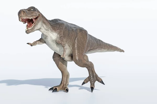 Tyrannosaurus Rex Geïsoleerd Witte Achtergrond Illustratie — Stockfoto
