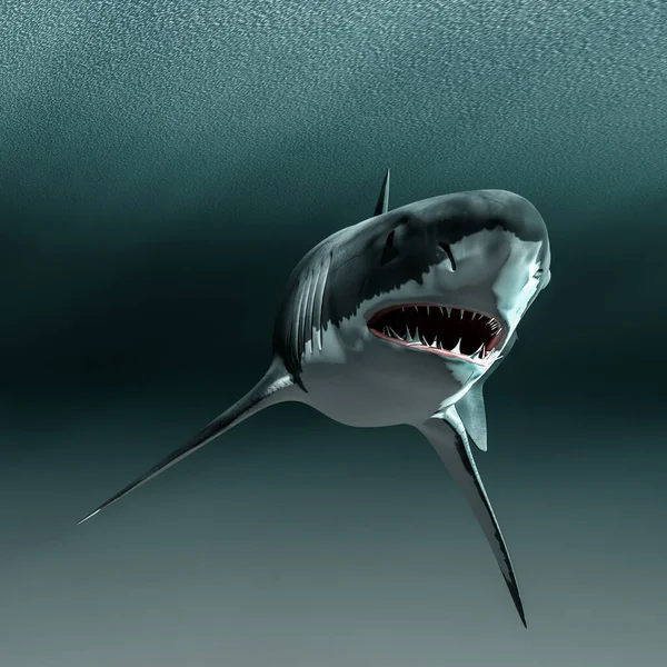 鲨鱼在海里游泳3D插图 — 图库照片