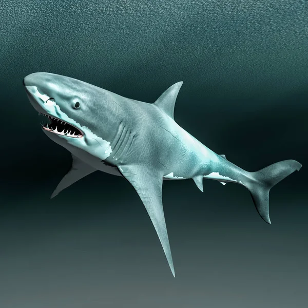 Shark Swimming Ocean Illustration — Stock Photo, Image