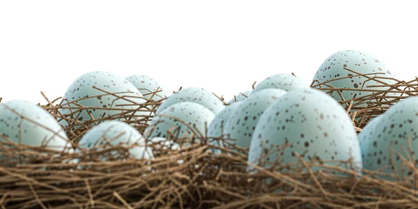 Eieren Een Nest Geïsoleerd Witte Illustratie — Stockfoto