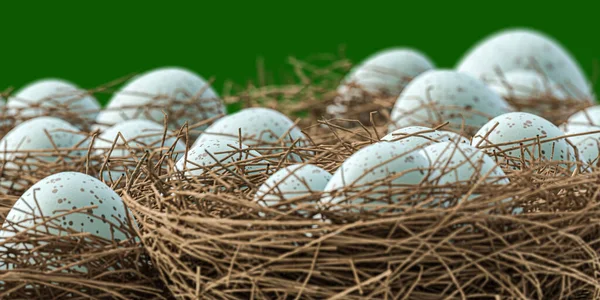 Eier Einem Nest Isoliert Auf Grünem Hintergrund — Stockfoto