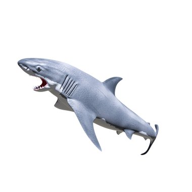 Beyaz köpekbalığı beyaz arka planda izole edilmiş. 3d illüstrasyon