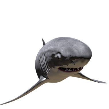 Beyaz köpekbalığı beyaz arka planda izole edilmiş. 3d illüstrasyon