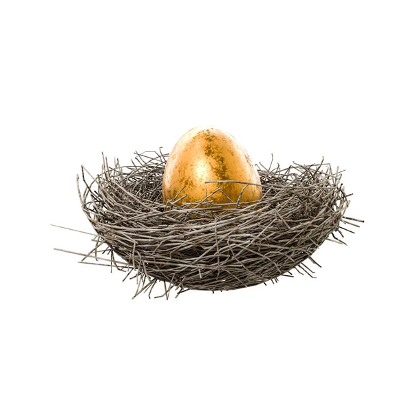Золотое Яйцо Гнезде Белом Фоне Иллюстрация — стоковое фото