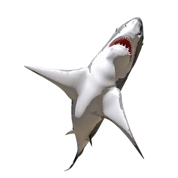 Tubarão Branco Isolado Fundo Branco Ilustração — Fotografia de Stock
