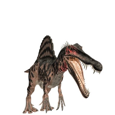 Spinosaurus