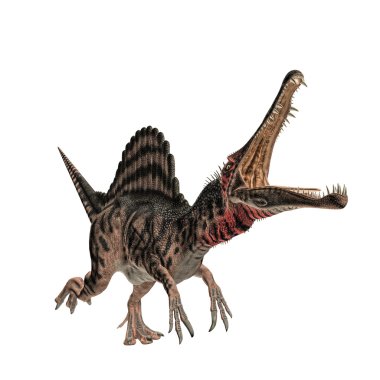 Spinosaurus