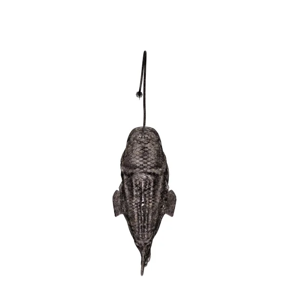 Lantern fish — Stock Photo, Image