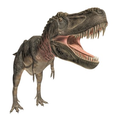 Tarbosaurus