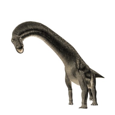 Titanosaurus