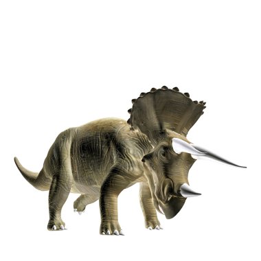 triceratopos