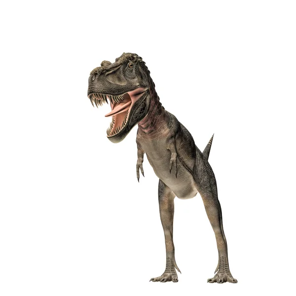 Tarbosaurus — 스톡 사진