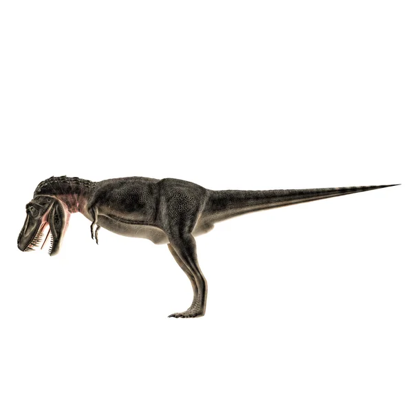 Tarbosaurus — Stockfoto