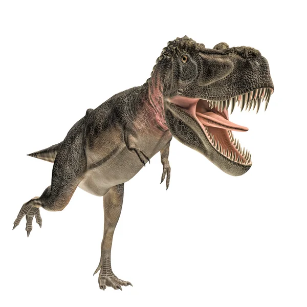 Tarbosaurus — Stockfoto