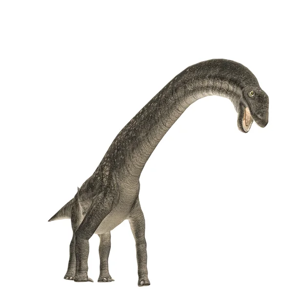 Титанозавр — стоковое фото
