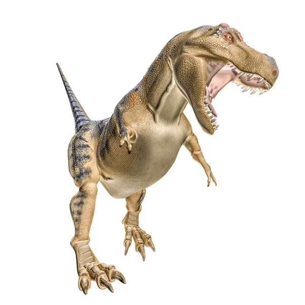 Tiranosaurio —  Fotos de Stock