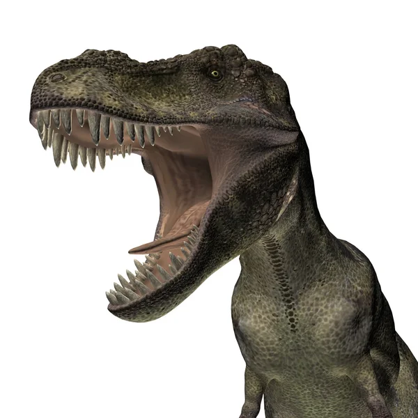 Tyrannosaurus — Stok fotoğraf