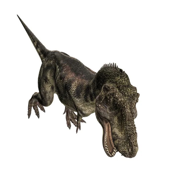 Tyrannosaurus — Stockfoto