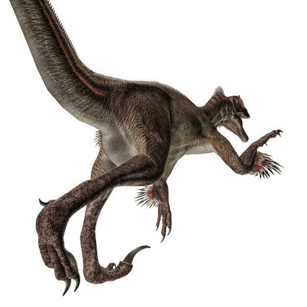 Utahraptor — Foto de Stock