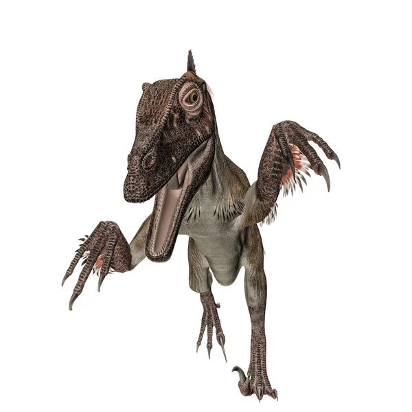 A Utahraptor hiányos — Stock Fotó