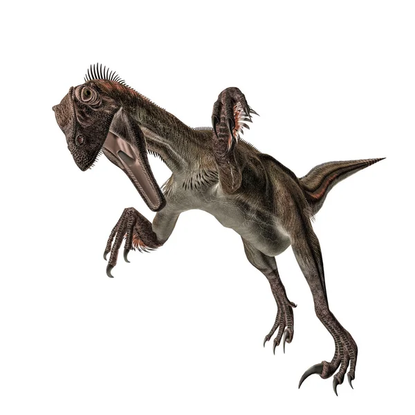 A Utahraptor hiányos — Stock Fotó