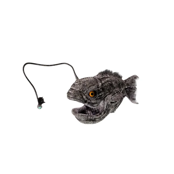 Рыба-фонарь — стоковое фото
