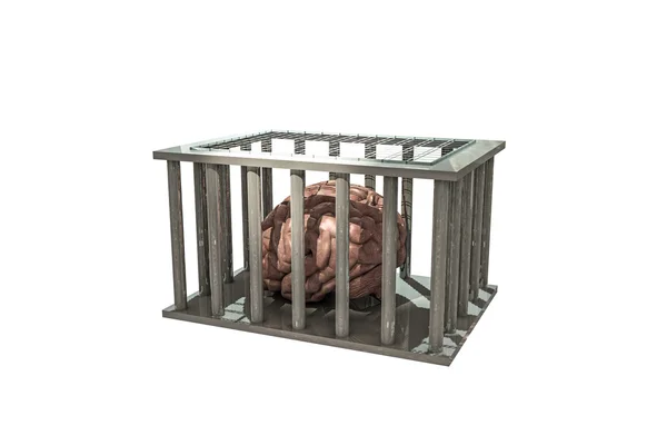 Brain in a cage — Stock Photo, Image