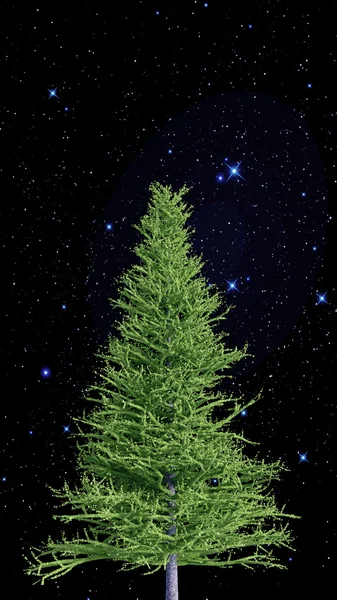 Christmas fir isolerade under lysande stjärnor — Stockfoto