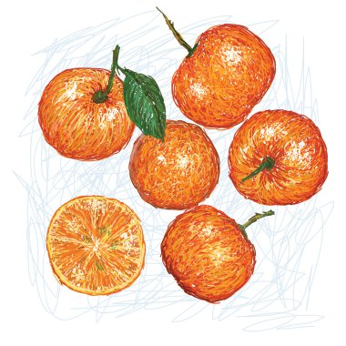 Calamondin
