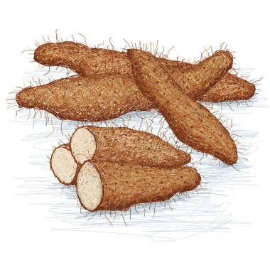 Çin taro