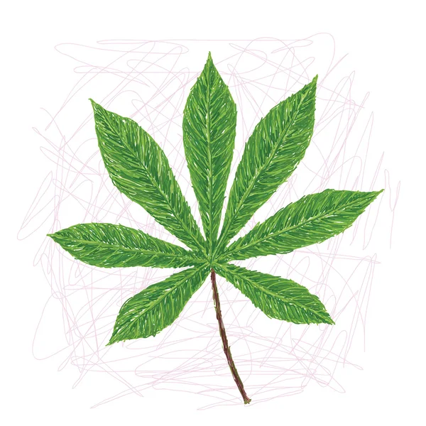Cassava leaf — Stock Vector