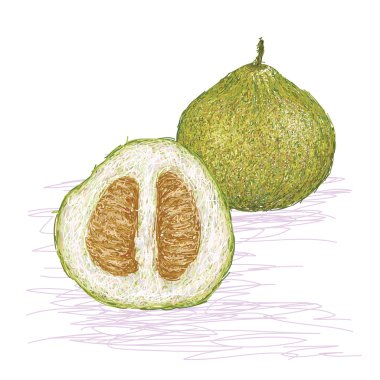 Pomelo