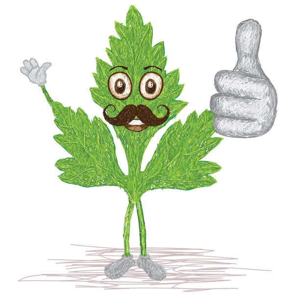 Maydanoz yaprak bıyık